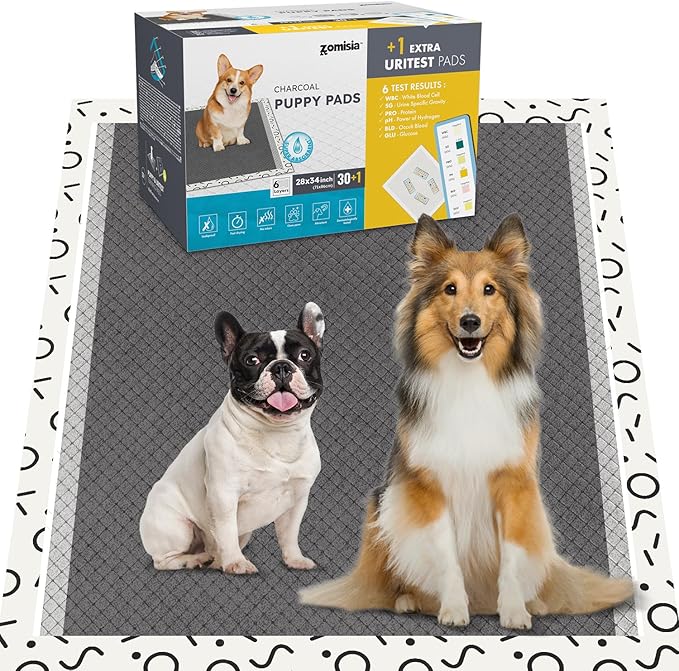 Charcoal Puppy Pee Pads for Dogs Extra Large, 28"x34" 30 Counts + 1 Extra Health Monitoring Pad - XL Dog Potty Training Pads Disposable, Odor-Control, Super Absorbent & Leak-Proof