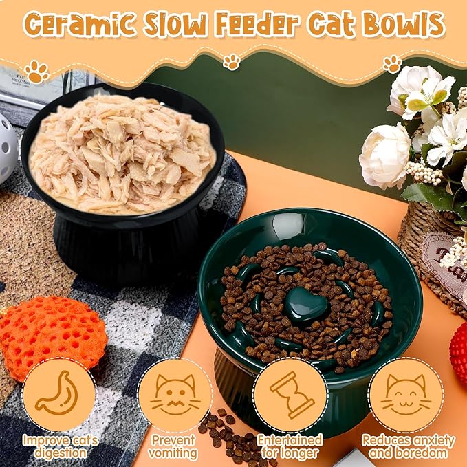 Tioncy 2 Pcs Raised Cat Slow Feeder Bowl Ceramic Elevated Cat Dog Food Bowl No Spill High Edge for Dry Wet Food and Water Easy to Clean, Dishwasher Safe (Dark Green,Black)