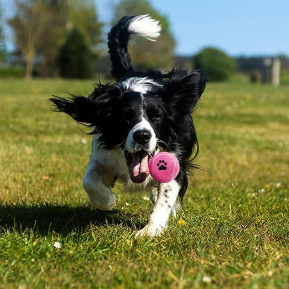Bulk Tennis Balls for Dogs Pack of 12 Easy Catching Dog Fetch Balls (Non Squeaky-Multicolor)