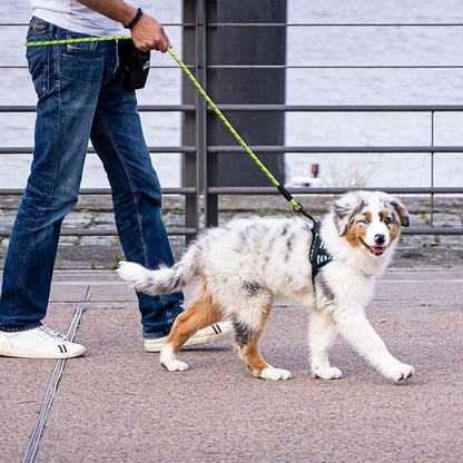 5/6 FT Strong Pet Dog Leash with Soft Padded Handle,Highly Reflective Rope for Night Walking,360-Degree Rotating Metal Buckle Without Tangles,Suitable for Small,Medium and Large Dogs.(5ft)