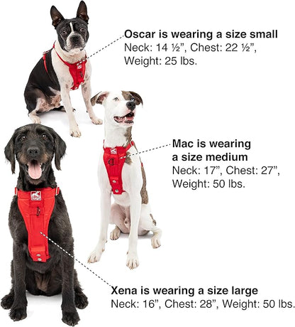 Kurgo Enhanced Strength Tru-Fit Dog Car Harness - Pet Travel Safety Harness - Crash Test Certified Fit - Five Point Adjustment - Secure Buckle - Padded Chest - Charcoal - Medium