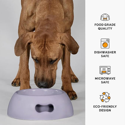 United Pets Pappy Dog Bowl for Dogs and Cats | BPA Free Premium Water and Food Pet Bowls Feeder for Medium Size Pets | Eco Friendly & Pet Safe Food Grade Materials | Made in Italy | Purple -36 Oz