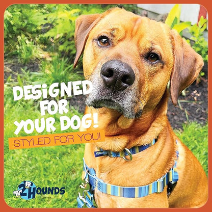 2 Hounds Design - Freedom No-Pull Harness & Training Leash in Blue and Green | Dual Leash Loops, No Pulling on Walks | Lined to Prevent Chaffing | for Large Sized Dogs (Size L, Chest 28”- 32”)