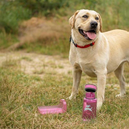OllyDog OllyBottle, Dog Water Bottle with Detachable Bowl, No Spill Travel Bottle for Dogs, Wide Drinking Cup, BPA-Free Tritan, Easy Clean, Convenient for Walking & Hiking (600ML, Hot Pink)