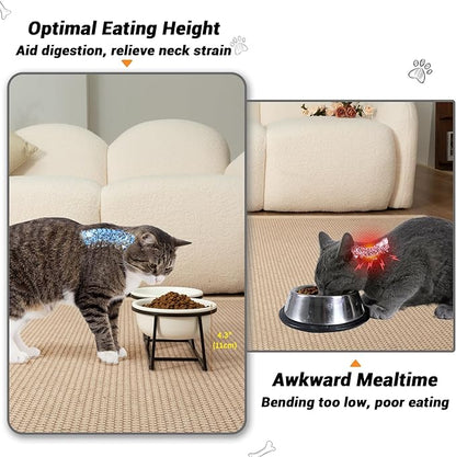 Ceramic Elevated Dog Bowl Set - Double Dog Food and Water Bowls with Metal Stand - Raised Pet Dishes for Puppies and Cats - 1 Cup - 13.5 fl oz - Matte White