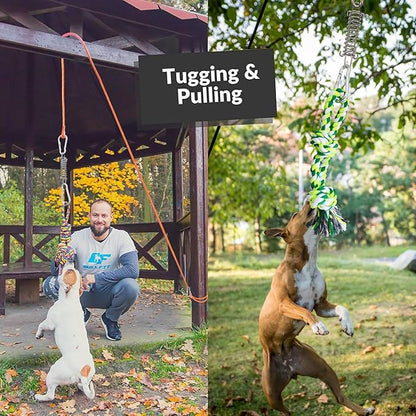 Dog Bungee Hanging Toy, Spring Pole Rope Pull & Tug of War Toy for Aggressive Chewers Middle Large Dogs to Exercise Solo Play, Interactive Tether Tug Outdoor Dog Toy with 2 Chew Ropes