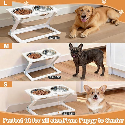 Elevated Dog Bowls for Large Medium Dogs, 3 Heights Adjustable Raised Dog Bowl Stand with 2 Stainless Steel Food Bowls 20°Tilted Elevated Easy to Clean Water Bowl (White, Large)