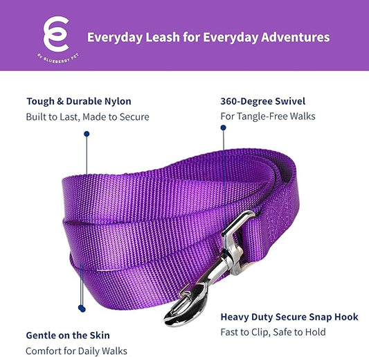 Blueberry Pet Essentials Dark Orchid Dog Leash for X-Small -5' * 3/8" Dogs | Heavy Duty Nylon Lead | Lightweight Puppy & Cat Leash for Walking & Training