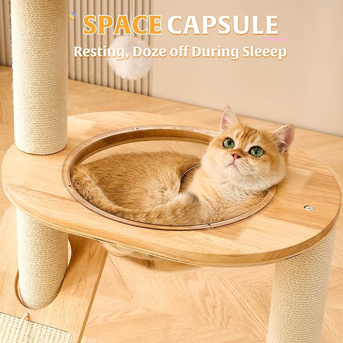 HITTITE Solid Wood Cat Tree Tower with Scratching Post, 37.8 Inches Tall Cat Towers with Scratching Board and Scratcher Ball, Modern Cat Tower With Space Capsule and Removable Top Bed for Indoor Cats.