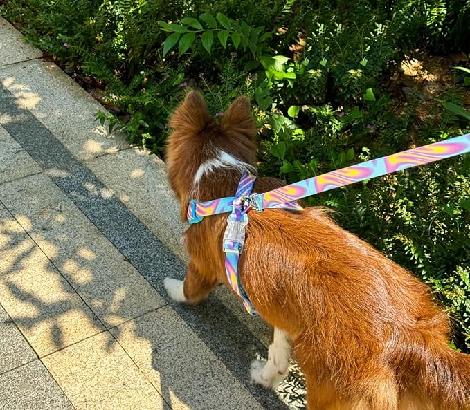 6FT Dog Leash, Strong Nylon Tie Dye Dog Lead with Heavy Duty Holographic Laser Hardware Comfortable Padded Handle Leash for Medium Large Dogs