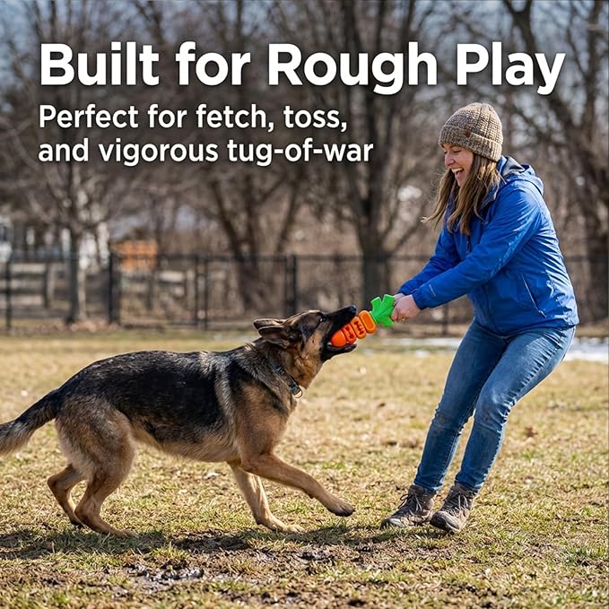 2 Pack Dog Toys for Aggressive Chewers Bacon Flavored: 7" Tough Dog Chew Bone, Hard Nylon & Rubber Teeth Cleaning Toy, Carrot-Shaped Dog Chew Toy for Large Breed 20-70 lbs