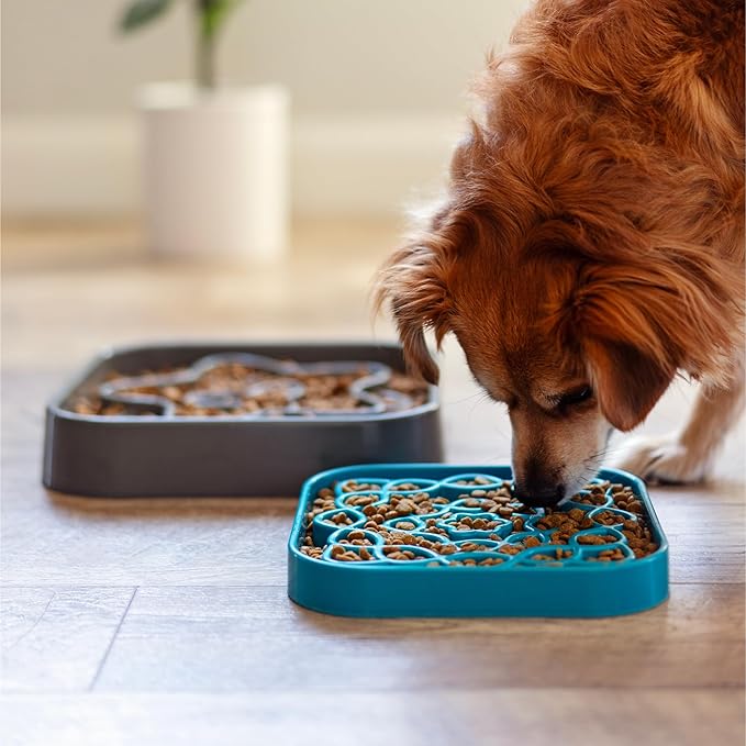 Messy Mutts and Cats Interactive Square Slow Feeder | Blue (2 Cup) | 8” x 8” Square Puzzle Slow Feeder for Dogs/Cats | Enrichment Food Dish for Slow Eating, Bloating