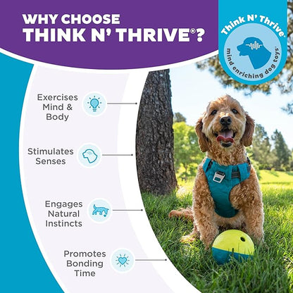Outward Hound by Nina Ottosson Treat Tumble – Interactive Food-Dispensing Dog Puzzle Ball, Level 1 Beginner, Small, 4.8"