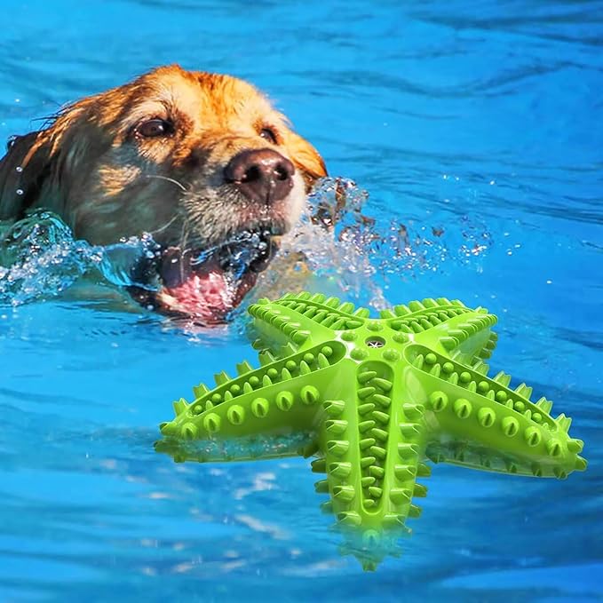 Pupix Chew Toy for Dog Aggressive Chewers Toothbrush Stick Pets Interactive Toys Tough Puppy Chew Treats for Small Medium Dogs Toy to Keep Them Busy, Green