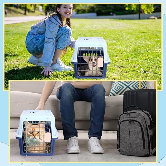 2 Sets 19" Travel Pet Carrier for Small Dogs and Cats Hard-Sided Plastic Dog Crate Cat Kennel with Wire Door, Ventilation and Security Lock Portable Pet Carrier for Car Airline Travel, Up to 13lbs
