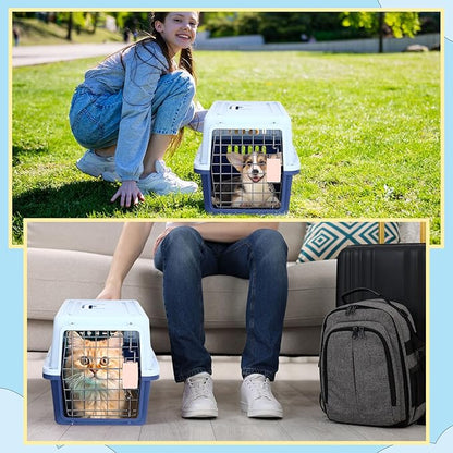 2 Sets 19" Travel Pet Carrier for Small Dogs and Cats Hard-Sided Plastic Dog Crate Cat Kennel with Wire Door, Ventilation and Security Lock Portable Pet Carrier for Car Airline Travel, Up to 13lbs
