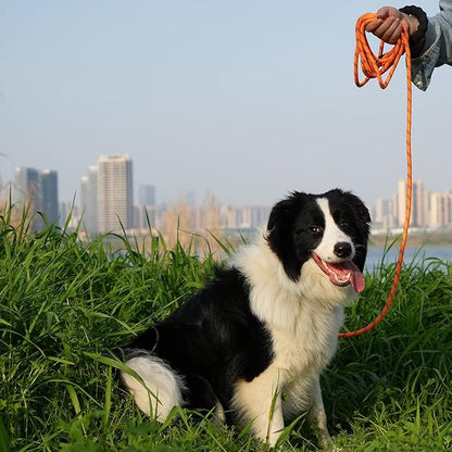 NTR Heavy Duty Dog Leash, 15FT Training with Swivel Lockable Hook, Padded Handle and Highly Reflective Threads, Lead for Walking, Hunting, Camping, Backyard Small Medium Large, Orange