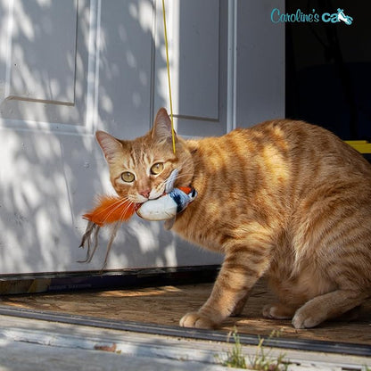 Caroline's Cats Plush Chirping Bird Cat Toy on Elastic String with Doorway Hanger - No Flimsy Suction Cups; Real Electronic Avian Sounds