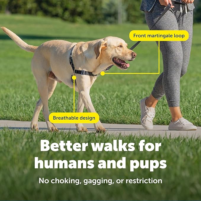 PetSafe Easy Walk Harness for Dogs - Pull-Free Walks - Patented Martingale Loop Design - Front Chest Leash Attachment - Comfort Straps - Breathable Harness Design - Large, Deep Purple/Black