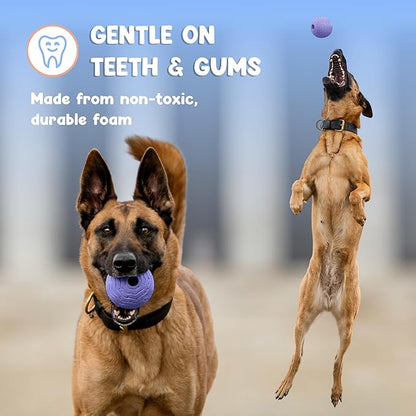 Foam Fetch Ball for Dogs – Durable EVA Foam Dog Ball, Interactive Chew Toy for Dogs, Lightweight Floating Ball for Water, Pool & Outdoor Fetch Games (Purple, Medium)