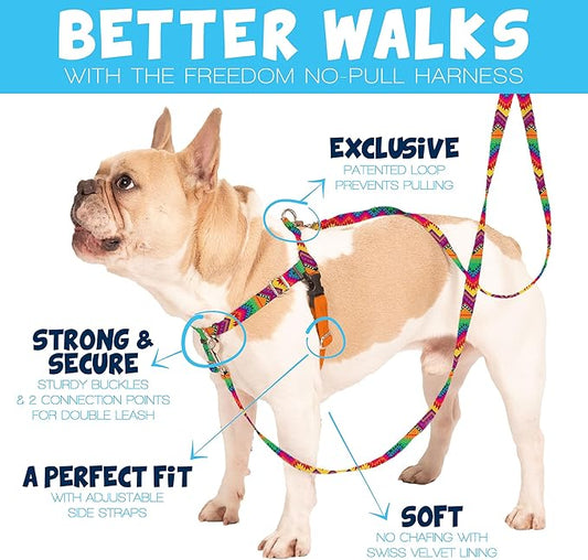 2 Hounds Design Freedom No Pull Dog Harness, Adjustable Harness, Easy Walking & Comfortable Control, Fits Small, Medium & Large Dogs, Solid Colors, Made in USA, 1" LG, Turquoise