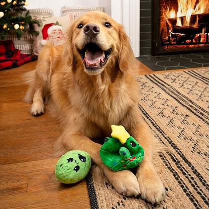 Barkbox Consuela The Christmas Cactus Dog Toy – Plush Rip & Reveal Holiday Toy with Whip-N-Flip Arms, Fluffy Stuffing & Hidden Spiky Ball Squeaker – Festive Play for Large Dogs