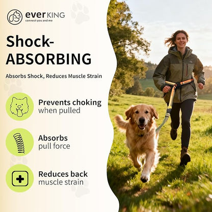 ‌EVERKING 6ft Hands-Free Dog Leash - 6-in-1 Adjustable with 360° Rotating Buckle, Night Reflective & Shock Absorbing for Large/Small Dogs (Up to 120lbs) (Golden)