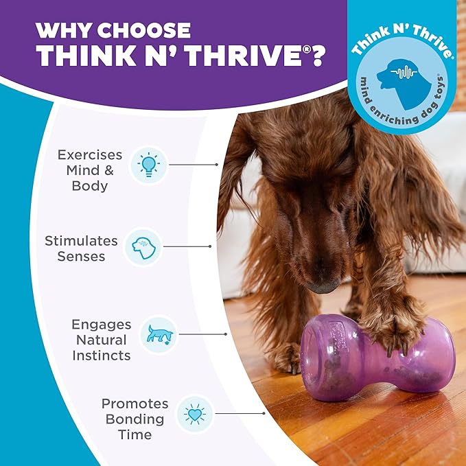 Outward Hound Double Snoop Interactive Treat Dispensing Dog Toy, Puzzle Ball Slow Feeder for Medium to Large Dogs, Mint-Scented for Mental Stimulation & Boredom Relief, 6in x 4in