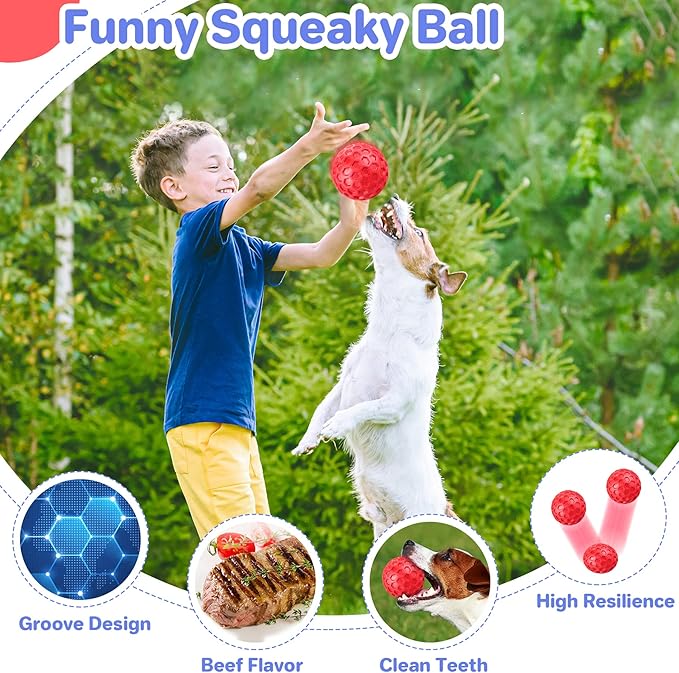 Indestructible Squeaky Dog Balls for Aggressive Chewers, Interactive Dog Toys for Aggressive Chewers for Relieving Anxiety, Dog Chew Toy Balls for Small Medium Large Dogs, Outdoor Dog Toys