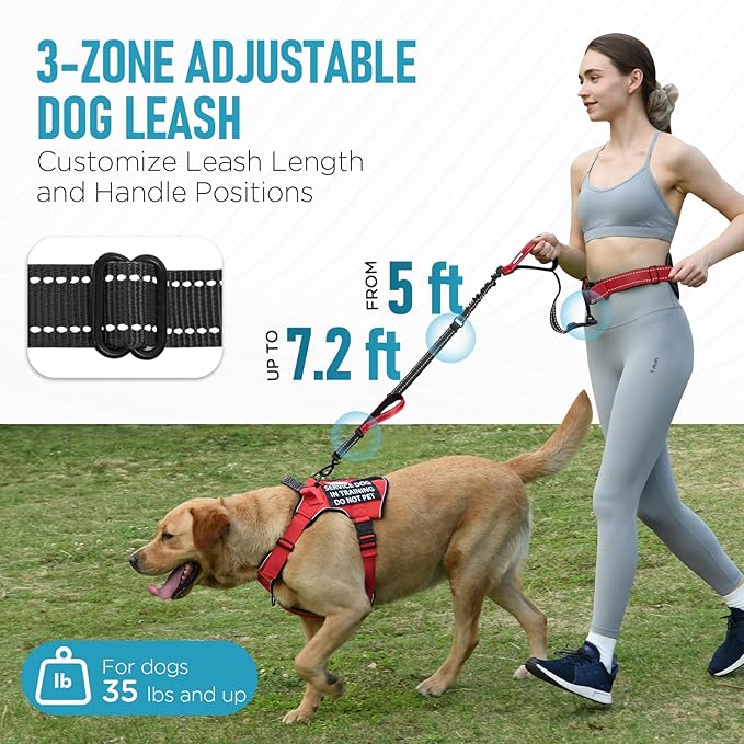 Hands Free Large Dog Leash, 6-8 FT Bungee Leash with Waist Belt for Dog Up to 150 lbs, Running Walking Jogging