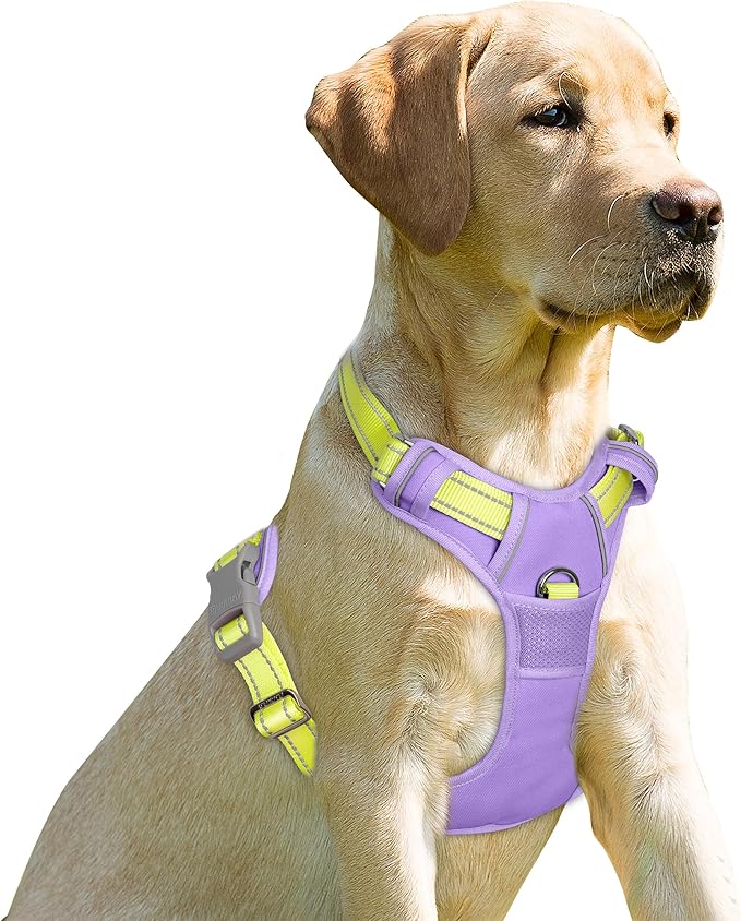 BARKBAY No Pull Dog Harness Front Clip Heavy Duty Reflective Easy Control Handle for Large Dog Walking(Violet Purple & Sunlight,L)