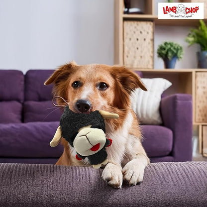 Multipet Knobby Noggins Dog Toy Lamb Chop | Lambchop Knobby Noggins Knobby | Noggins Squeaky Dog Toy Plush | 5" | Small/Medium Breed | Officially Licensed (Black)