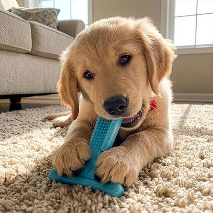 SPOT Bam-Bones Puppy T-Bone Dog Chew Toy, Chicken Flavor, 6 Inch, Bamboo Fiber & Flexible Rubber, Easy Grip Design for Gentle Chewers, Small Dogs & Puppies