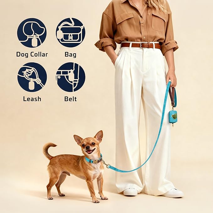Didog Classic Dog Poop Bag Holder, Easy-Pull and Elegant PU Leather Pet Waste Bag Dispenser for Leash with Carabiner Clip, Includes 1 Roll Dog Waste Bag for Daily Walking,Light Blue