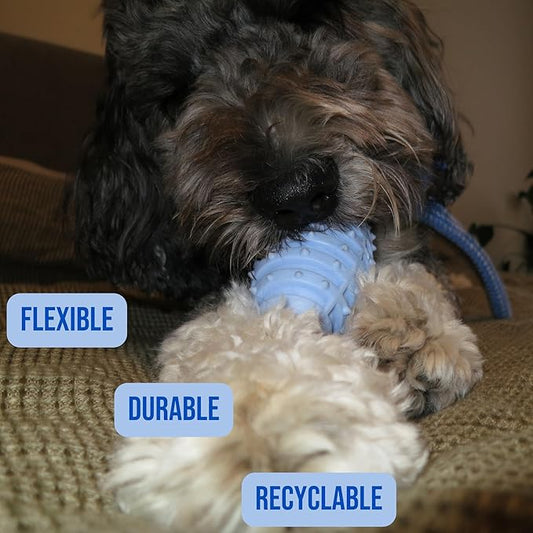 Doug's Dog Supplies Football Rope Toy for Tug of War - Medium to Large Dogs and Puppies (Blue)