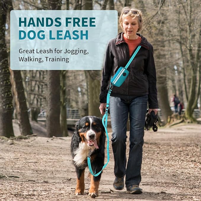 Hands Free Dog Leash with Removable Zipper Pouch, Dual Padded Handles and Durable Bungee for Walking, Jogging and Running Your Dog (Large, 35-140 lbs Green