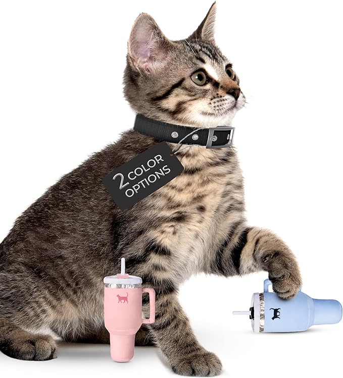Kitty Cup Catnip Toy - Easter & Birthday Cat Gift Toy with Catnip & Crinkle, Funny Gift for Girl Indoor Kitten (Chambray Blue)