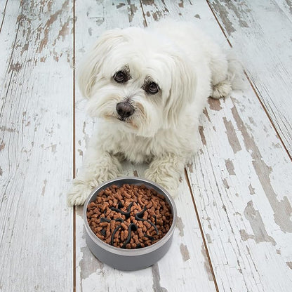 Jaoul Slow Feeder Dog Bowls Insert, Puzzle Slow Feeder Insert with 21 Octopus Suction Cups for Small Breed Dog Food Bowls (4 inch, Black)