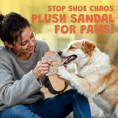 Shoe Parody Dog Toy – Funny Crinkle & Squeaky Dog Toys for Interactive Play and Training – Durable, Easy to Clean, Birthday Gifts for Small, Medium and Large Dogs