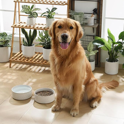 MALACASA Ceramic Dog Food Bowl, 6 Cups or 54 oz Dog Food Water Dish for Large Breeds, Pet Bowl Dishwasher & Microwave Safe, Five-Leaf Grass, Series Lydia