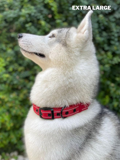 Tuff Pupper Heavy Duty Dog Collar with Handle | Ballistic Nylon Heavy Duty Collar | Padded Reflective Dog Collar with Adjustable Stainless Steel Hardware | Convenient Sizing for All Breeds