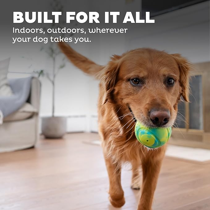 Outward Hound Grunt N' Punt Tennis Ball - Fetch Ball Dog Toy, Multi
