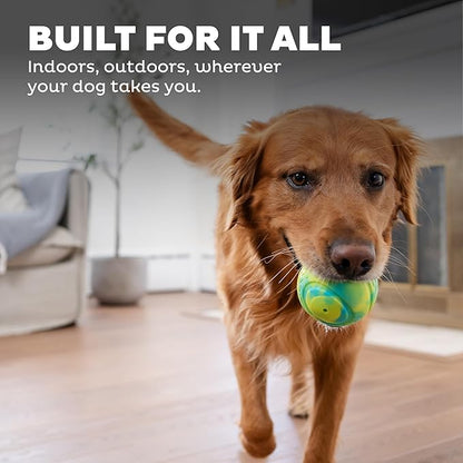 Outward Hound Grunt N' Punt Tennis Ball - Fetch Ball Dog Toy, Multi
