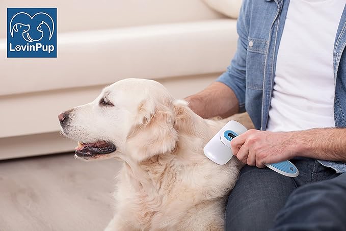 Pet Slicker Brush - Self Cleaning Brush for Dogs & Cats w/Retractable Bristles for All Hair Types - Massaging Pins Remove Tangles & Mats Painlessly - Durable Grooming Tool for Dogs & Cats