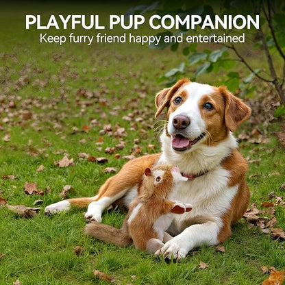 ALL FOR PAWS Squirrel Squeaky Doy Toy, Squirrel Dog Toy for Medium Large Breed, Puppy Fetch Toy with Squeaker, Plush Chew Dog Toy, 13.8 x 3.9 x 4.1inches, Chipmunk-L