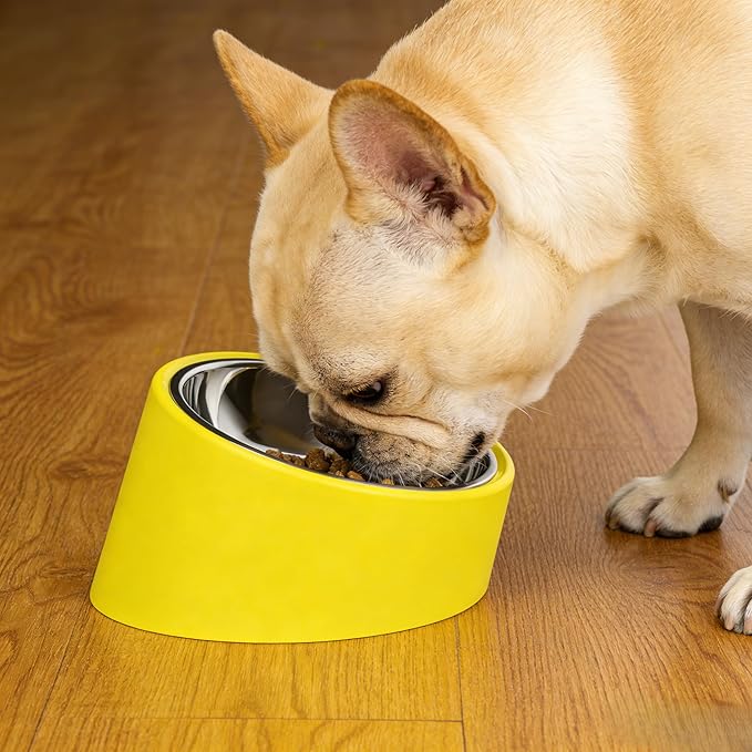 Slanted Dog Bowl Slow Feeder, 15° Tilted Elevated Raised Food Water Dish, Anti-Choke Anti-Gulping for Cats Dogs, Non-Spill Weighted Base, for Medium Dogs Standard Pets, Yellow
