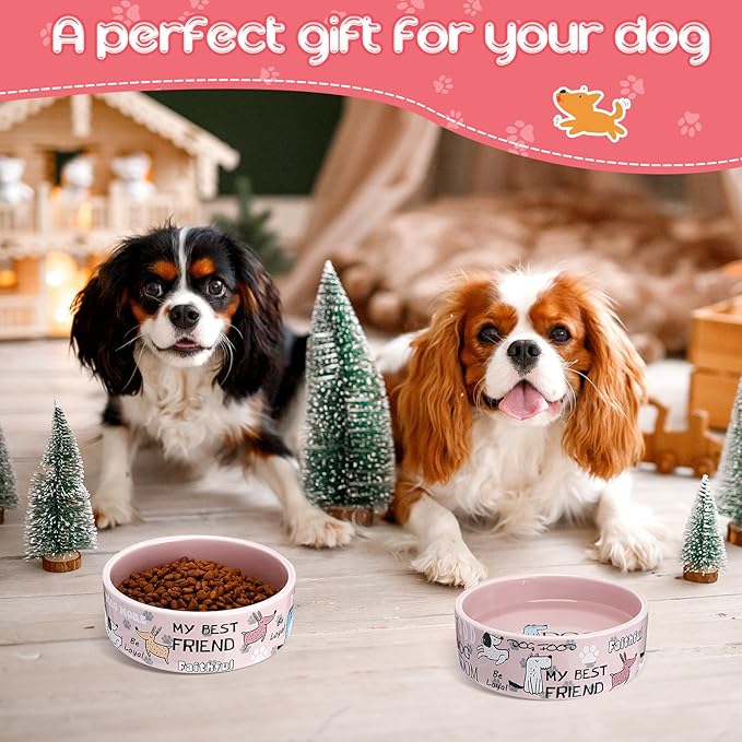Maxcheck 2 Pcs 5 Inch Ceramic Dog Bowls Dishes for Small Dogs Cute Cartoon Pattern Puppy Cat Bowls Heavy Food Water Dishes for Pets Feeding Travel, Dishwasher Safe Microwave Safe(Pink)