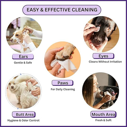 Aurora Pet Grooming Wipes – 400 Extra-Large Wipes for Dogs & Cats | Plant-Based, Hypoallergenic & All-Natural | Alcohol, Paraben & Sulfate-Free | Lavender Scent