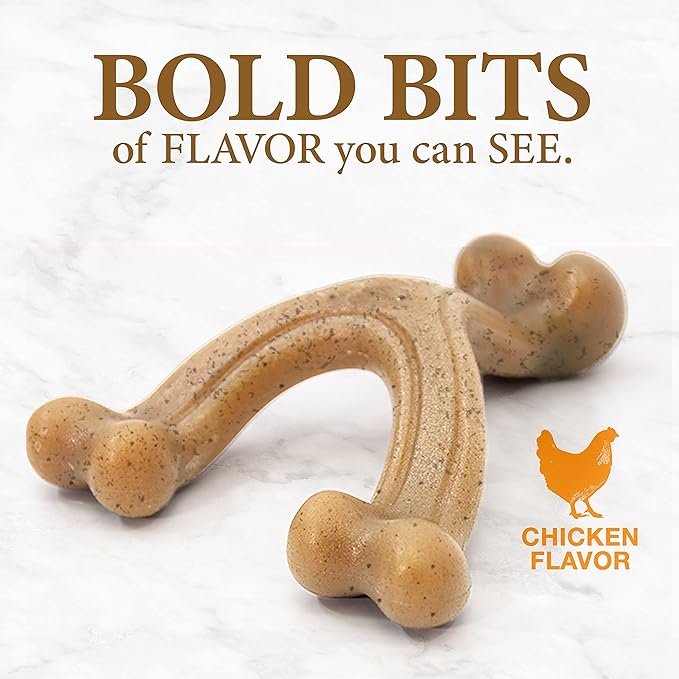 Nylabone Gourmet Style Wishbone Strong Chew Toy for Dogs, Chicken Flavor, Large - Up to 50 lbs, 1 Count
