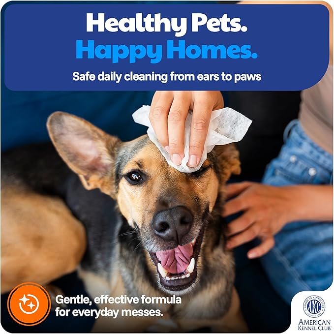 AKC - Pet Wipes for Dogs & Cats | Hypoallergenic Grooming Wipes | Chemical-Free Cleaning for Paws, Face, Ears & Coat | Gentle Moist Wipes for Daily Pet Hygiene & Quick Freshening | 200 Count